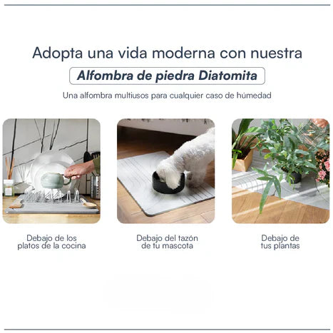 ALFOMBRA DE PIEDRA DIATOMITA😱😱😱😱 Pies secos en segundos.
