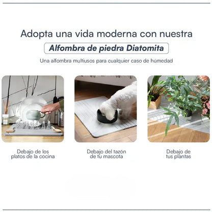 ALFOMBRA DE PIEDRA DIATOMITA😱😱😱😱 Pies secos en segundos.